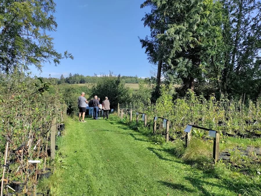 Efterårsferieaktiviteter på Blomstergården ved Viborg