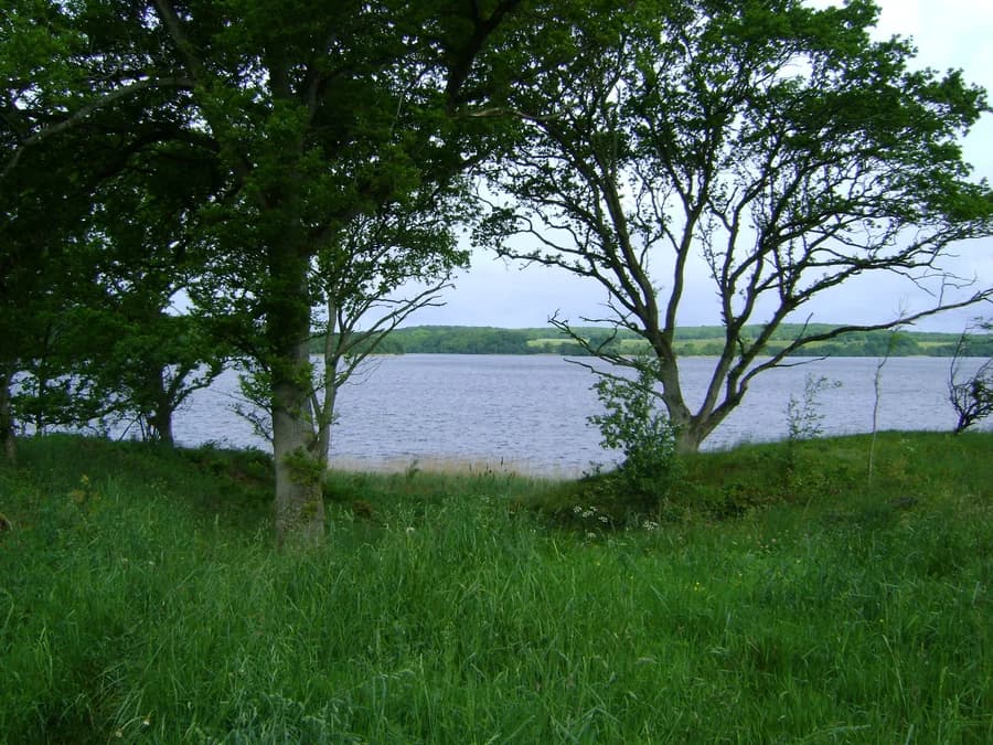 Vandreture fra Naturskolen Hald Hovedgård