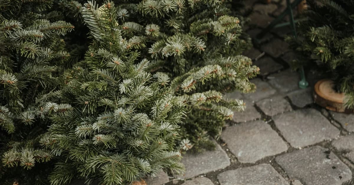 Kæmpe Julemarked i Idrætscenter Øst / Houlkærhallen