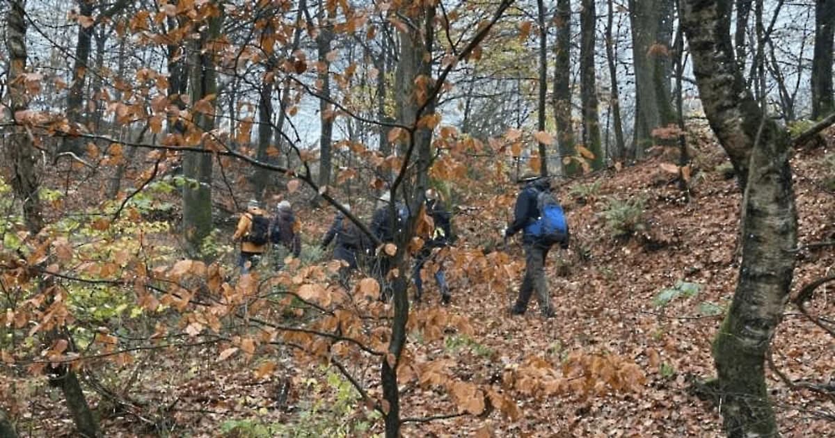 Tur i Skovsgård Skov med dansk Vandrelaug