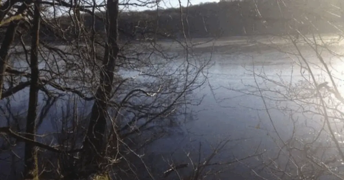 Vandretur ved Hald Sø med Dansk Vandrelaug