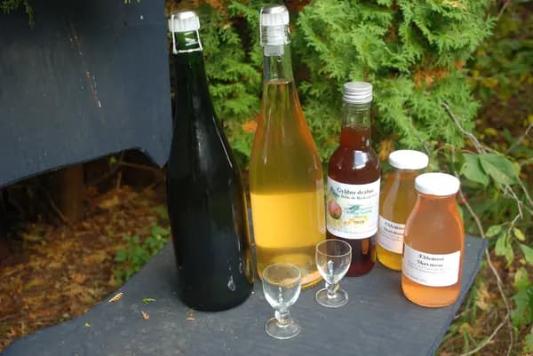Cider Temadag på Blomstergården ved Viborg