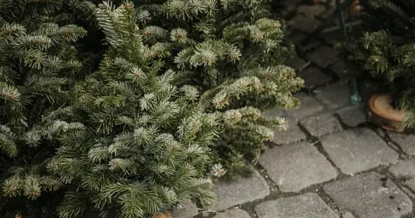 Kæmpe Julemarked i Idrætscenter Øst / Houlkærhallen