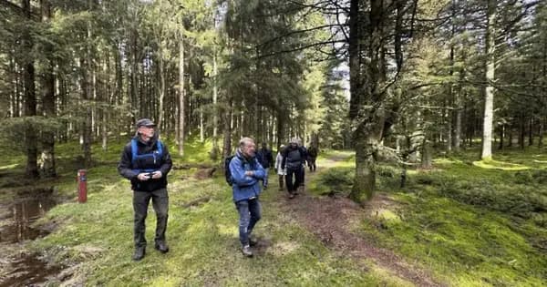 Med Dansk Vandrelaug i Sjørup Skov