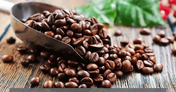 Foredrag: Kaffe 2026