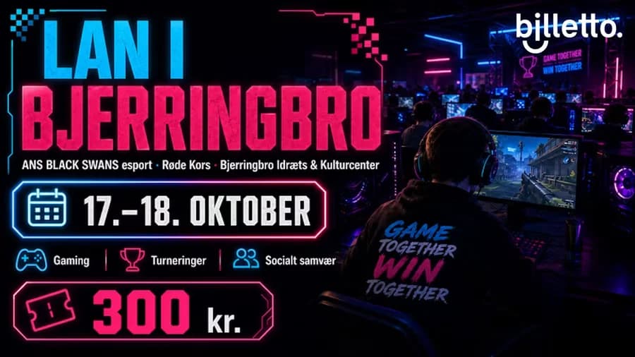 LAN arrangement i Bjerringbro