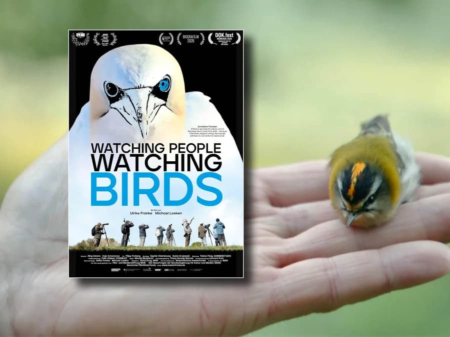 Watching People Watching Birds - film og oplæg om fugle, natur og forundring