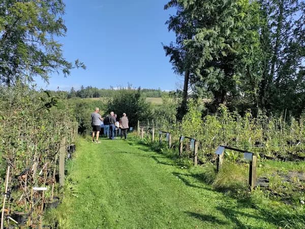 Efterårsferieaktiviteter på Blomstergården ved Viborg