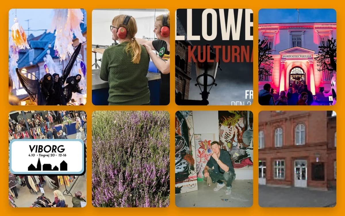 A collage showing multiple scenes including people, a lit building, flowers, and street views.